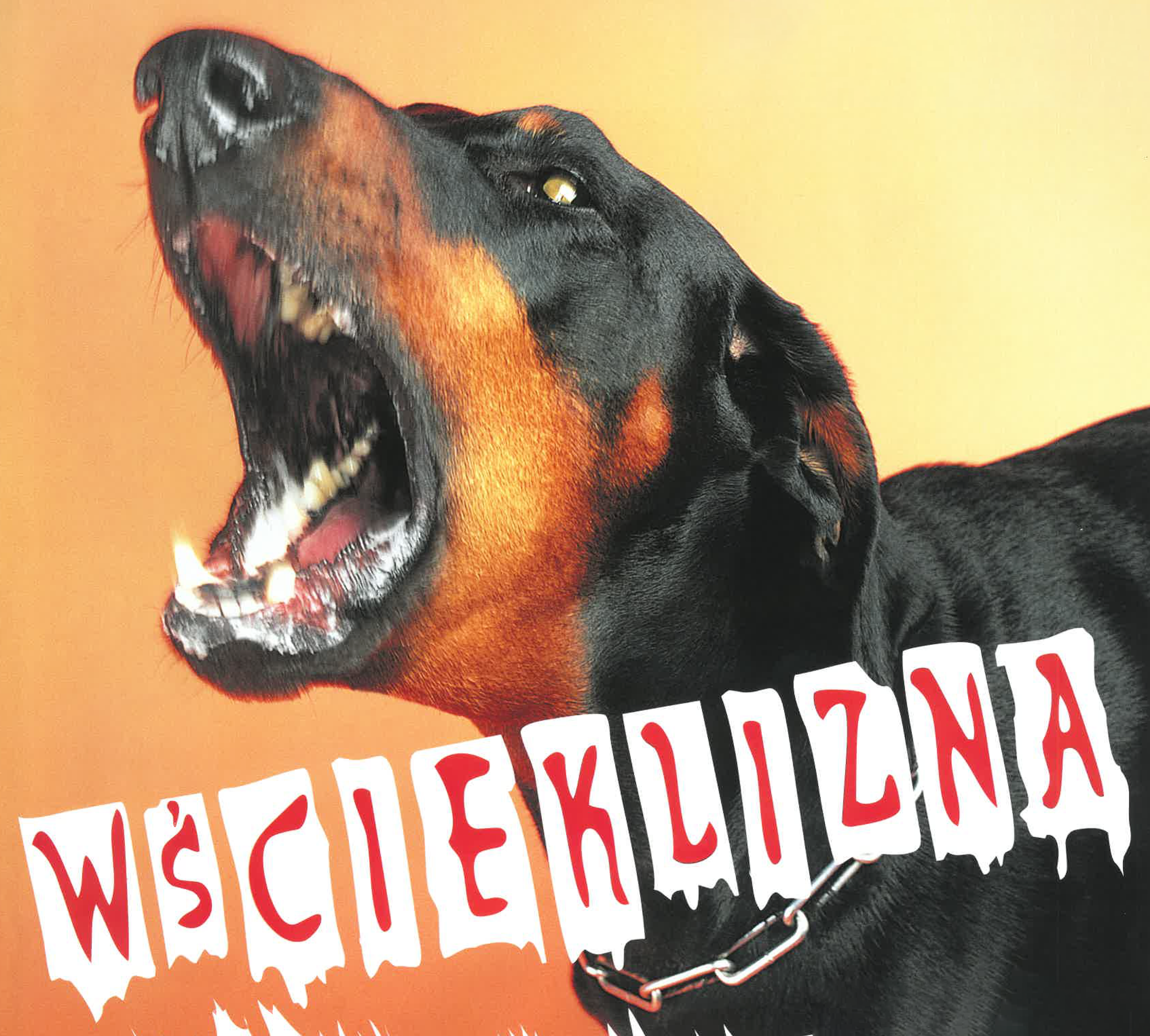 alt obrazka