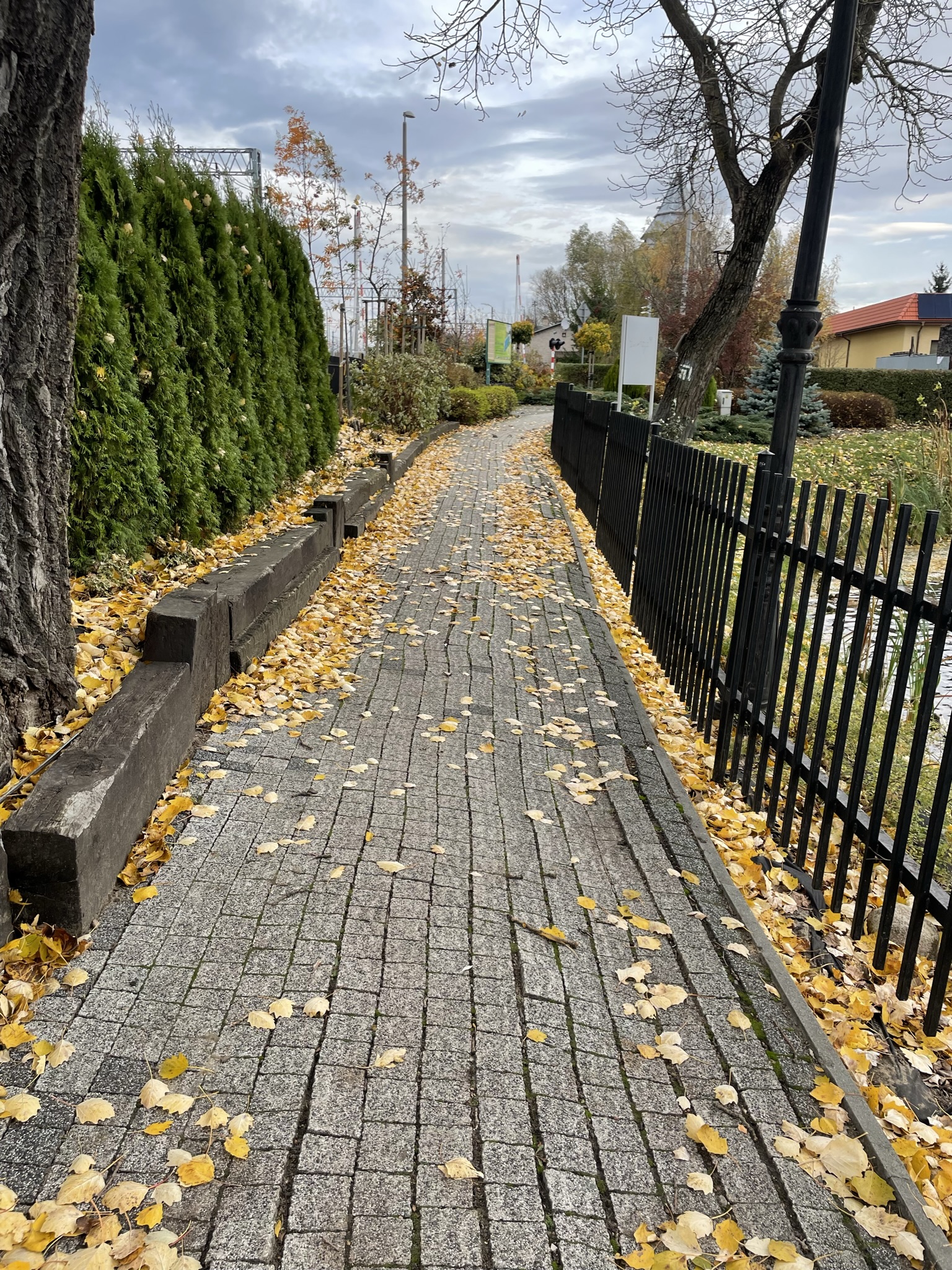 alt obrazka