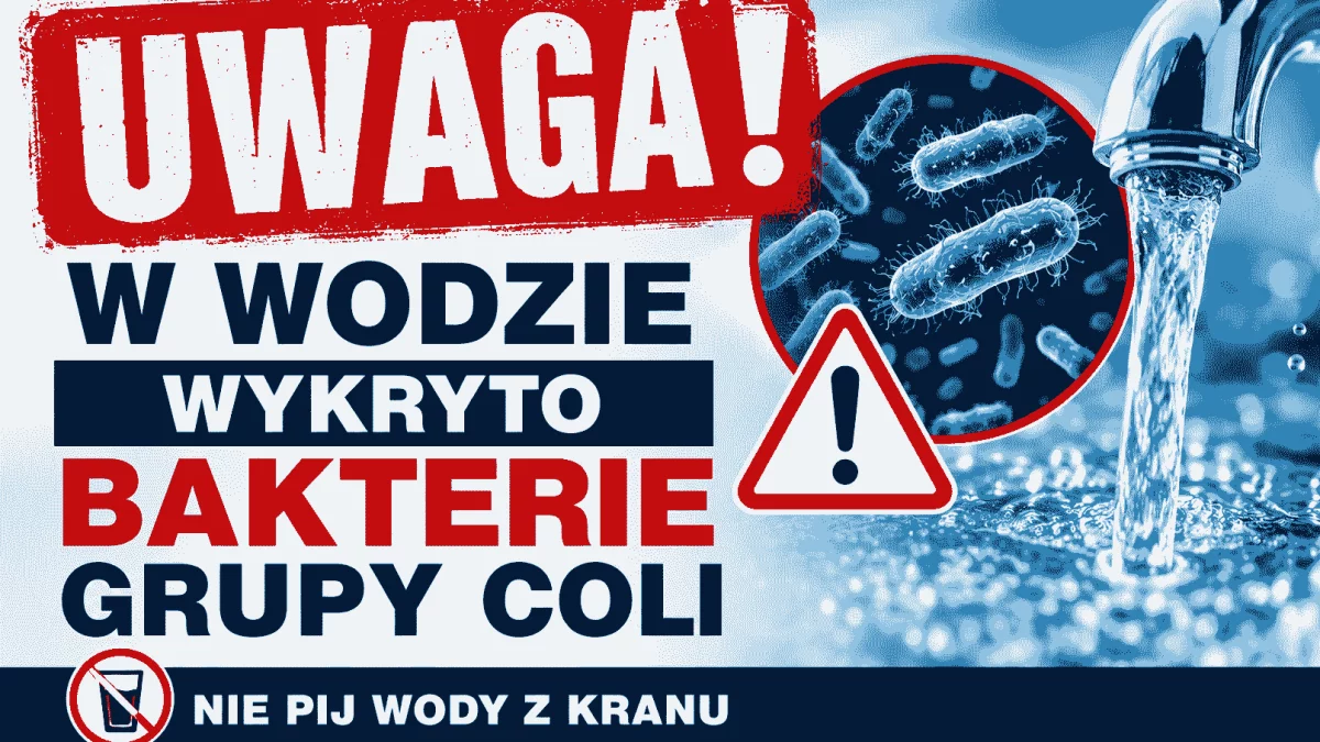 alt obrazka