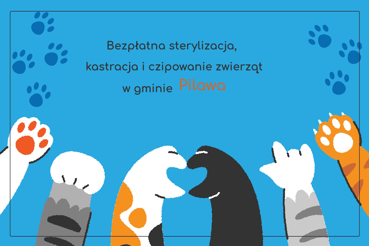 alt obrazka
