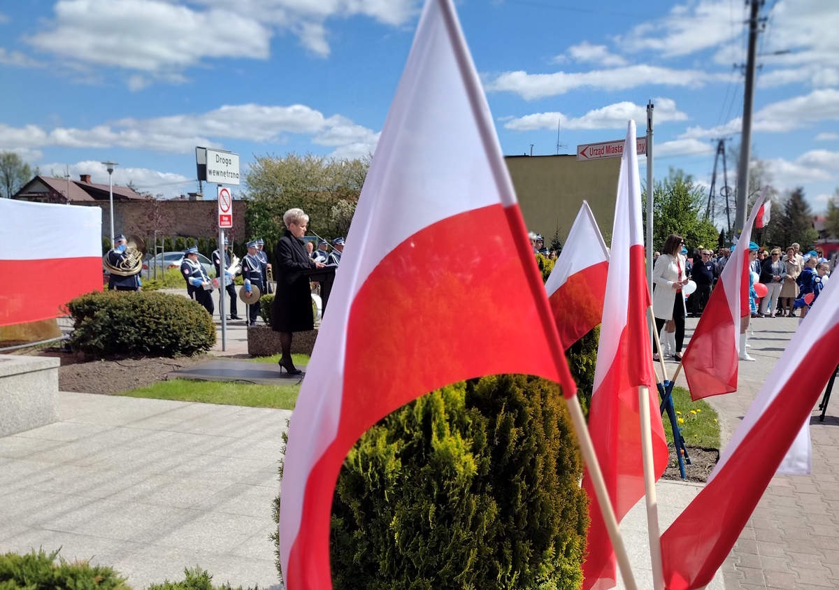 alt obrazka