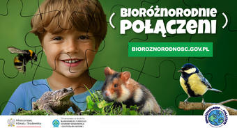 Jesteśmy bioróżnorodnie połączeni – poznaj kampanię Ministerstwa Klimatu i Środowiska