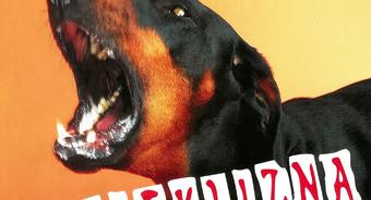 Zawiadomienie o szczepieniu psów i kotów przeciwko wściekliźnie