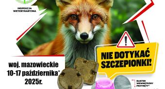 Jesienna akcja szczepienia lisów na terenie województwa mazowieckiego