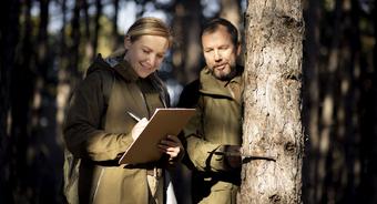 Ogłoszenie o rozpoczęciu prac nad Uproszczonymi Planami Urządzenia Lasu dla Miasta i Gminy Pilawa