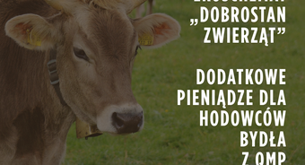 Ekoschemat „Dobrostan zwierząt” Dodatkowe pieniądze dla hodowców bydła z QMP – tylko do 16 czerwca!